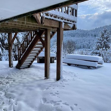 Villa Chalet Situe Au Grand Valtin à Ban-sur-Meurthe-Clefcy Extérieur photo