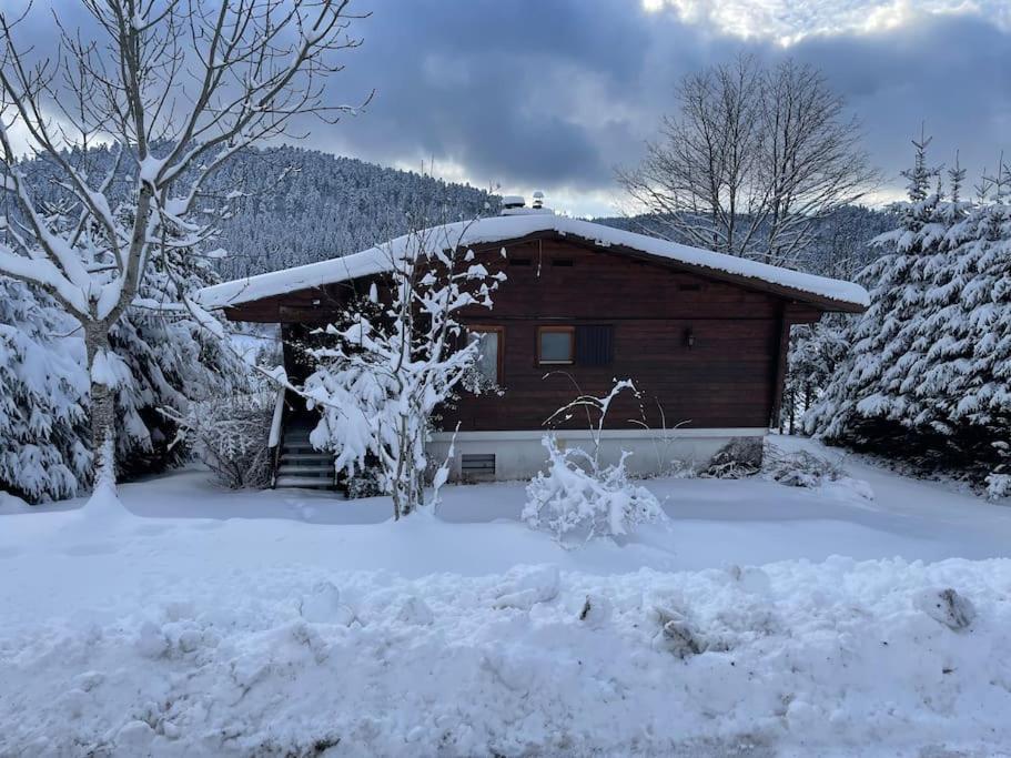 Villa Chalet Situe Au Grand Valtin à Ban-sur-Meurthe-Clefcy Extérieur photo