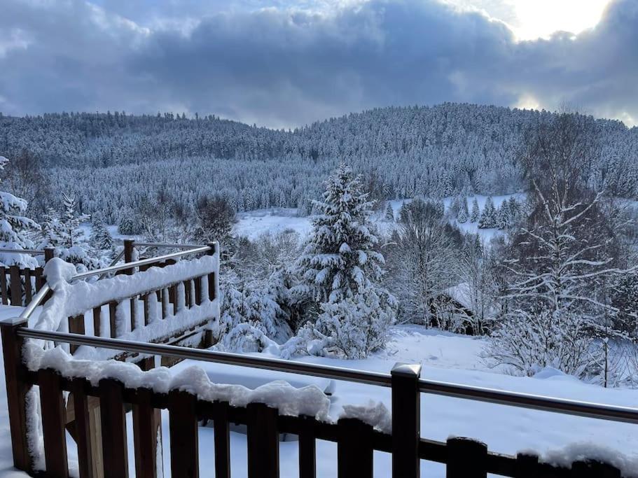 Villa Chalet Situe Au Grand Valtin à Ban-sur-Meurthe-Clefcy Extérieur photo